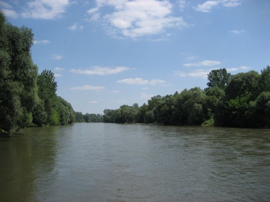 Picture 073